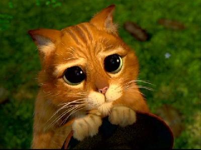 Александр Сурков | Саратов