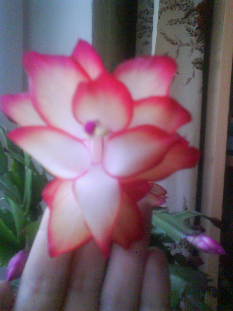 Татьяна Изюмченко | Ростов-на-Дону