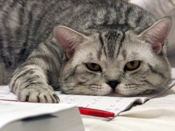 Евгений Блудов | Харьков