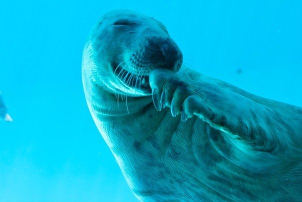 №1, Олег Василенко, 35 лет, Херсон №1, Олег Василенко, 35 лет, Херсон