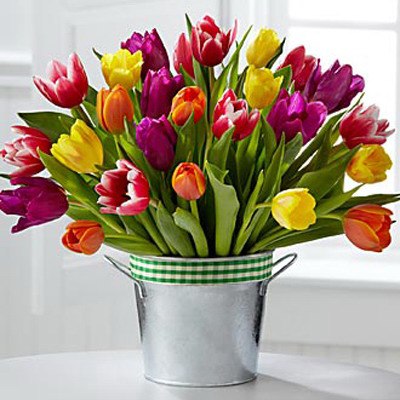 Мария Павлович | Москва