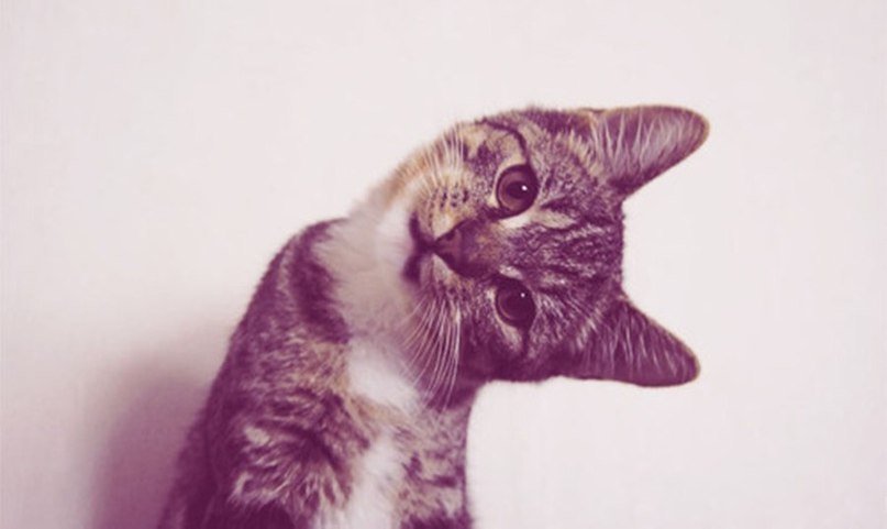 Юлия Мурина | Одесса