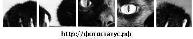 №8, Светлана Волошко, Докучаевск №8, Светлана Волошко, Докучаевск