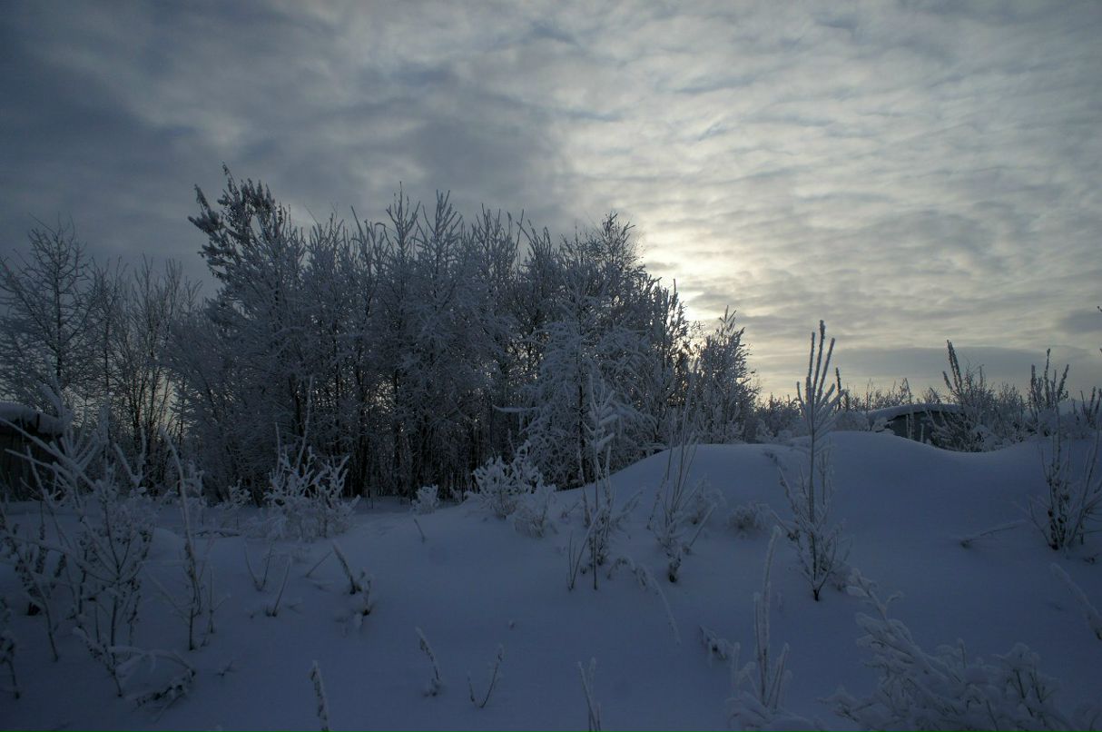 Радик Рафиков | Сургут