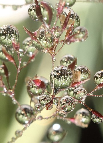 Наталья Александрова | 