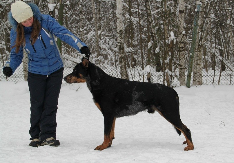Вика Петлина | Москва