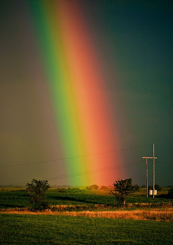 Артем Конев | Тюмень