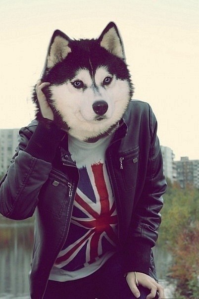 Михаил Байбаков ну не хуя себе это же Михаил | Москва