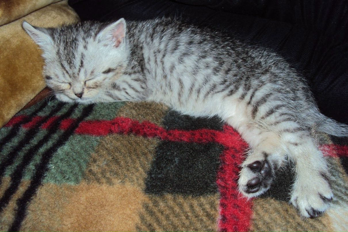 Татьяна Попок | 