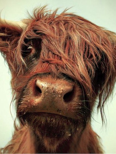 Андрей Кудинов | Москва