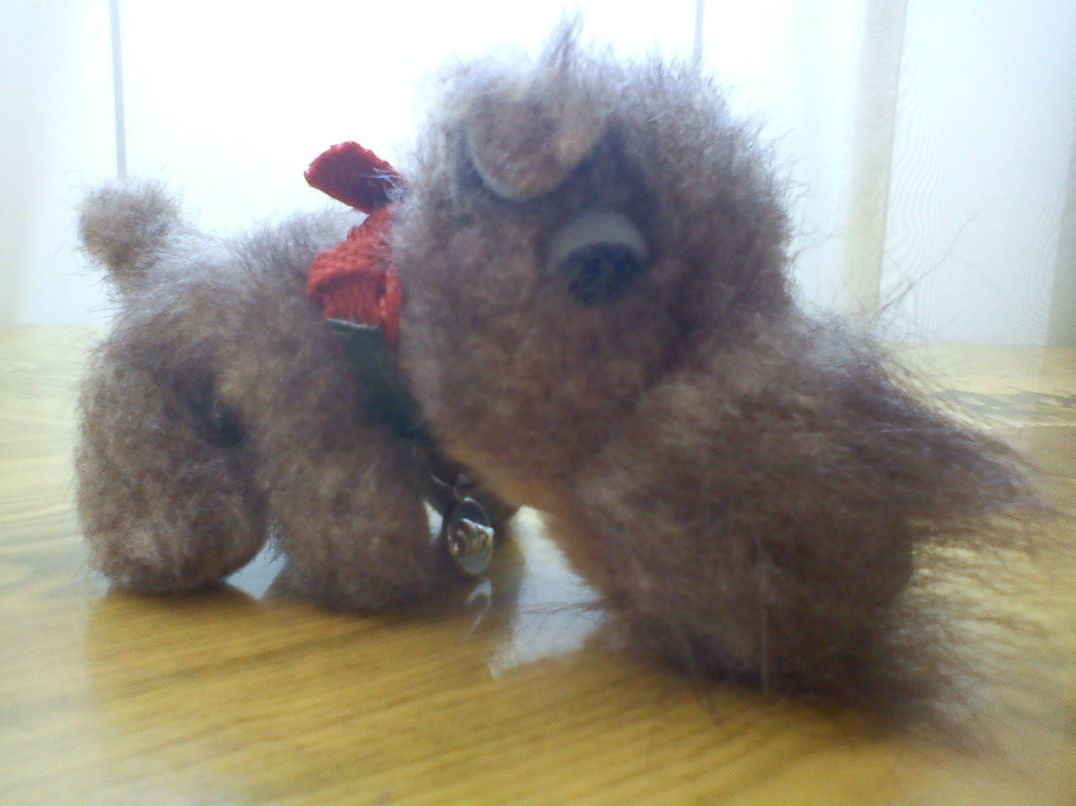 Дмитрий Шорников | Санкт-Петербург