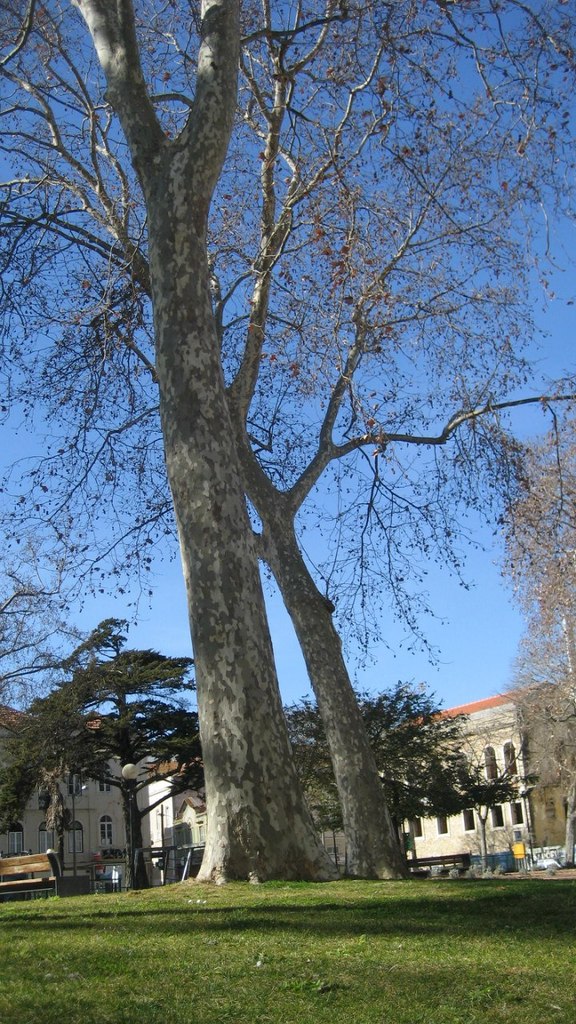 Катя Родионова | Воронеж