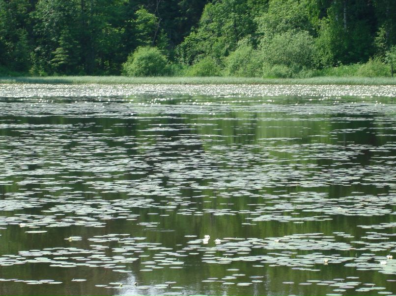 Оксана Бондаренко | Москва