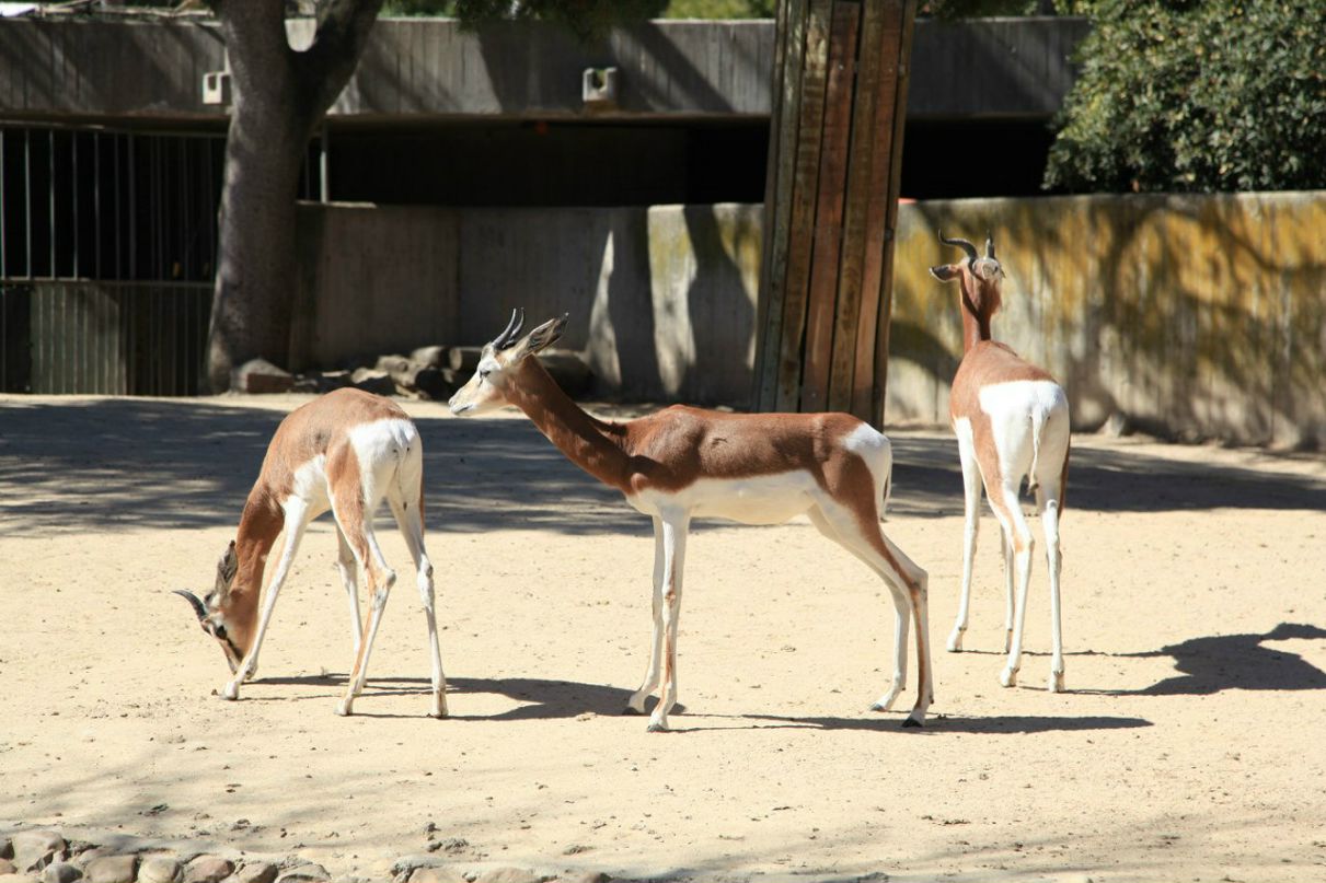 Кира Кучумова | Vigo