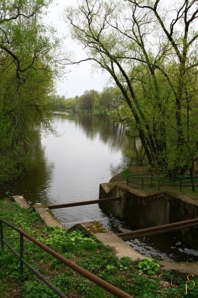 Людмила Куленевич Lutik | Ирпень