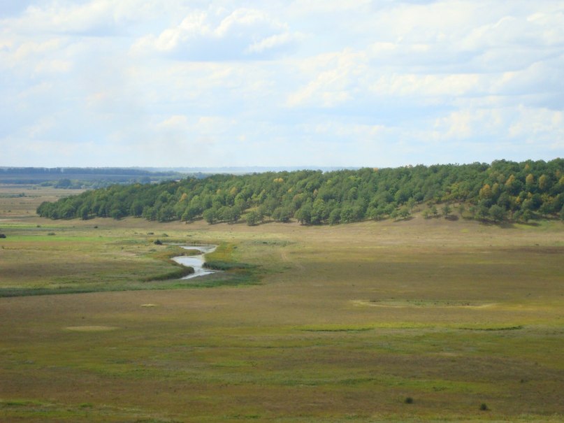 Дима Терентьев | Санкт-Петербург