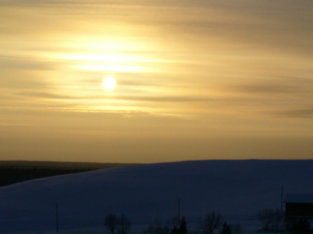 Анна Кулешова | Сыктывкар