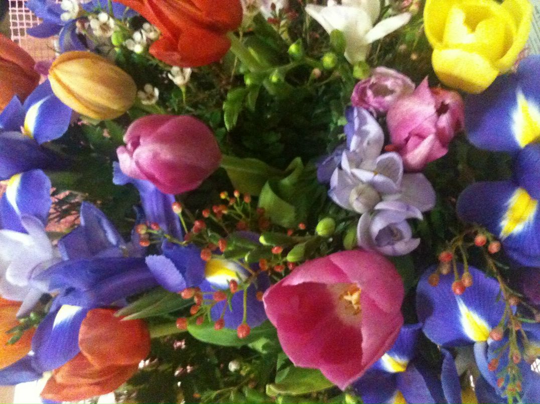 Юлия Шитова lota | Москва