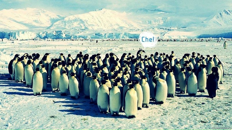 Артем Бруклин | Омск