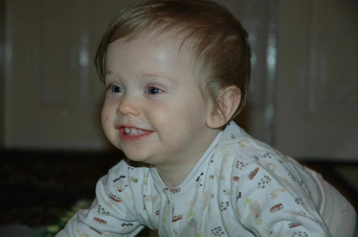 Любов Линник | Лебедин