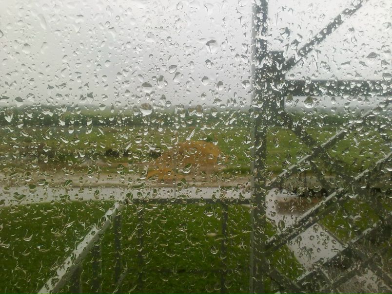 №6, Алексей Шаляпин, 41 год, Ржев №6, Алексей Шаляпин, 41 год, Ржев