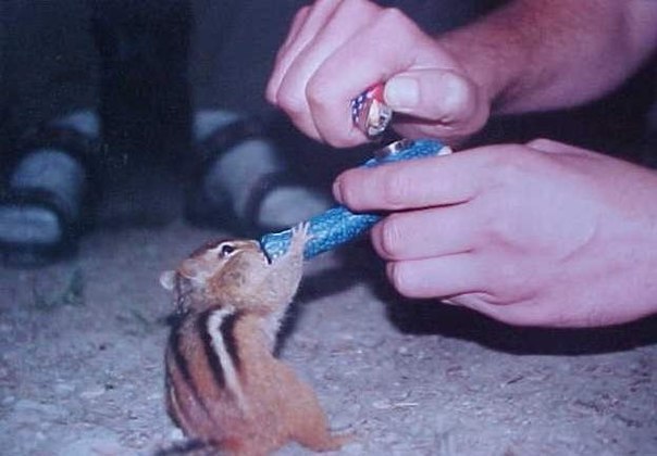 Василий Ветров | Москва