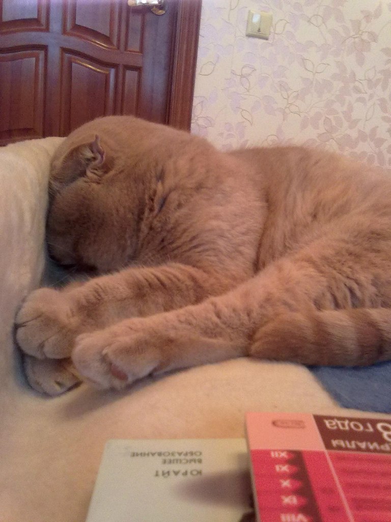 Алана Загидуллина | Черкесск