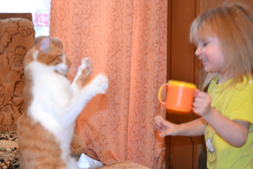 Юрий Шведов | Светогорск