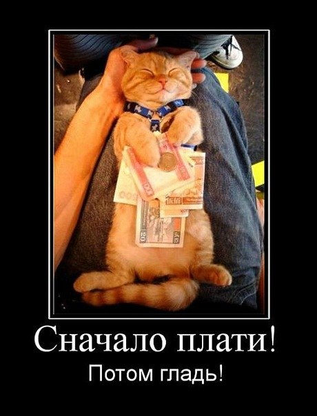 Алексей Владимиров | Казань