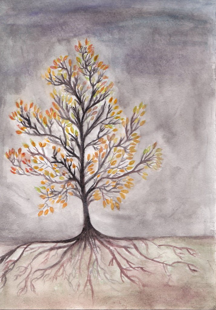 Кирилл Надеждин | Казань