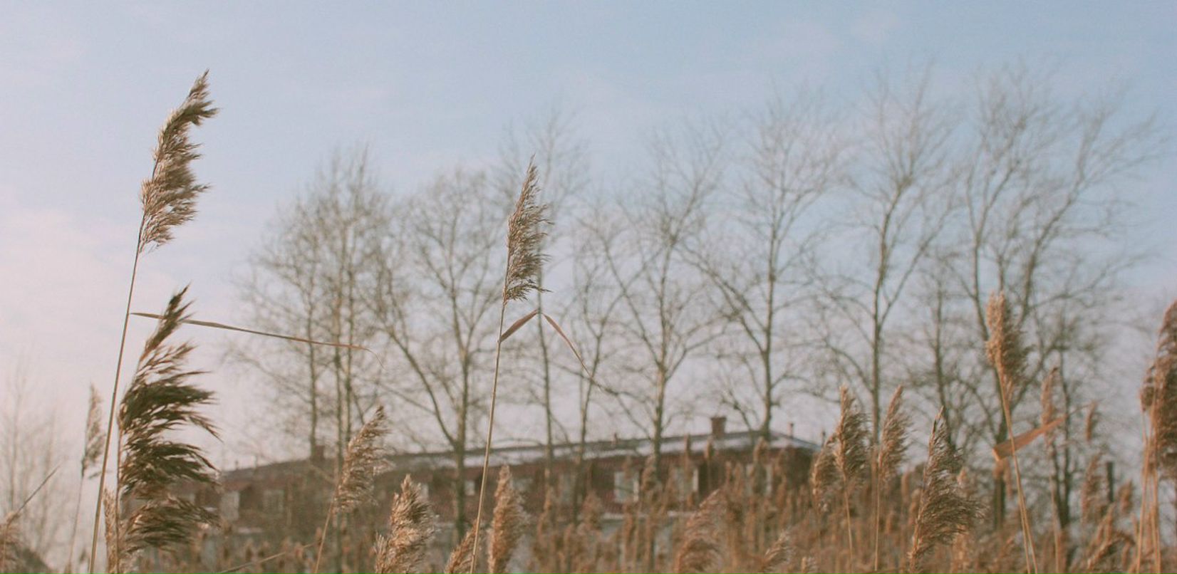 Дима Знаменщиков | Санкт-Петербург