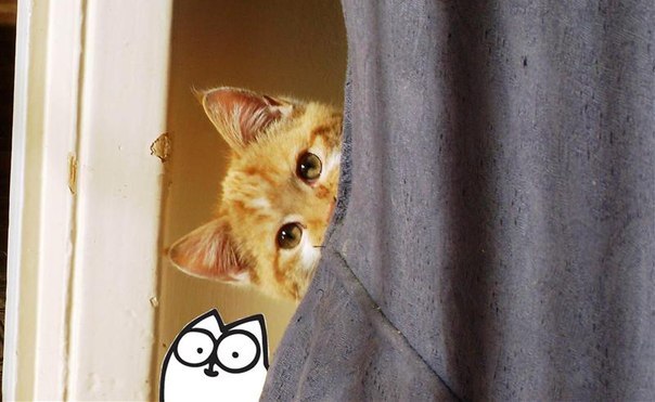 №128, Екатерина Ольховикова, 18.02, Лебяжье №128, Екатерина Ольховикова, 18.02, Лебяжье