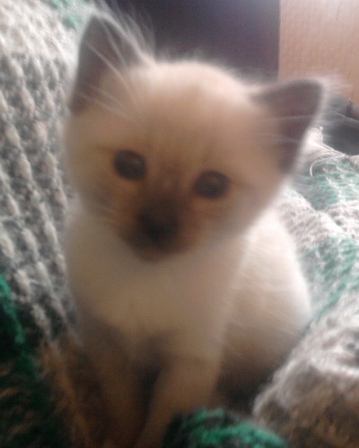 №103, Сергей Рябцев, 37 лет №103, Сергей Рябцев, 37 лет