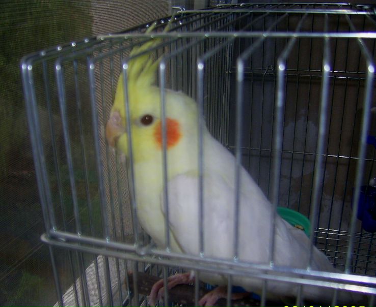 №8, Виктория Свячена, Харьков №8, Виктория Свячена, Харьков