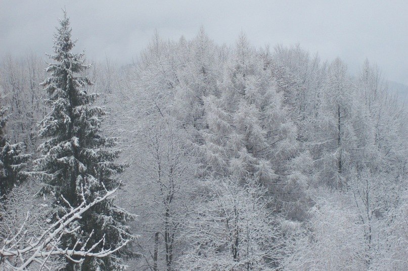 Александр Герасименко Герик | Киев