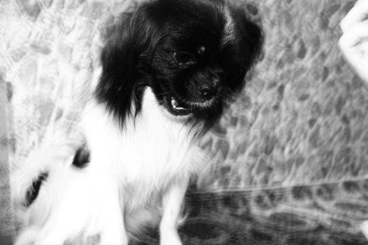 Михаил Галанцев ٩(̾●̮̮̃̾•̃̾)۶ | Курск