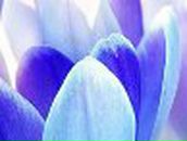 Татьяна Богатырева | Кунгур