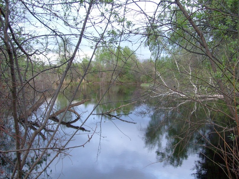 Андрей Терещук | Братск