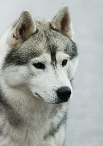 Вера Вербицкая Сергеевна | Москва