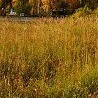 №63, Наталья Аджигитова, 58 лет, Астана №63, Наталья Аджигитова, 58 лет, Астана