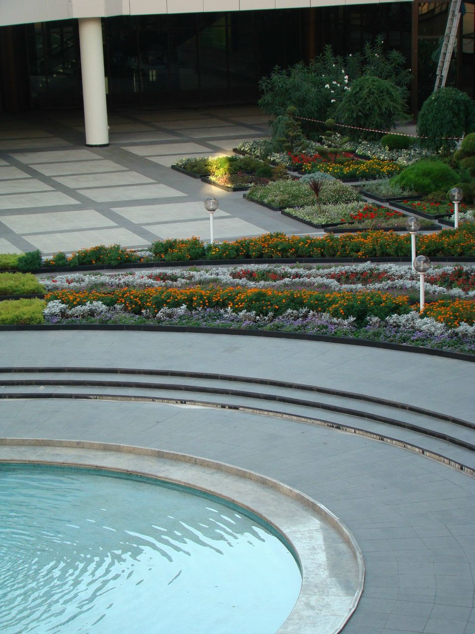 Александр Петров | Санкт-Петербург