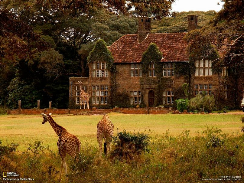 Klava Бахрушина | Weimar