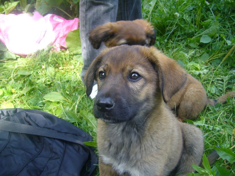 Екатерина Ивонина | Екатеринбург