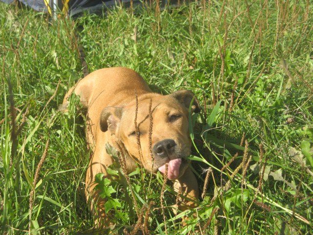 Андрей Соколов Владимирович | Москва