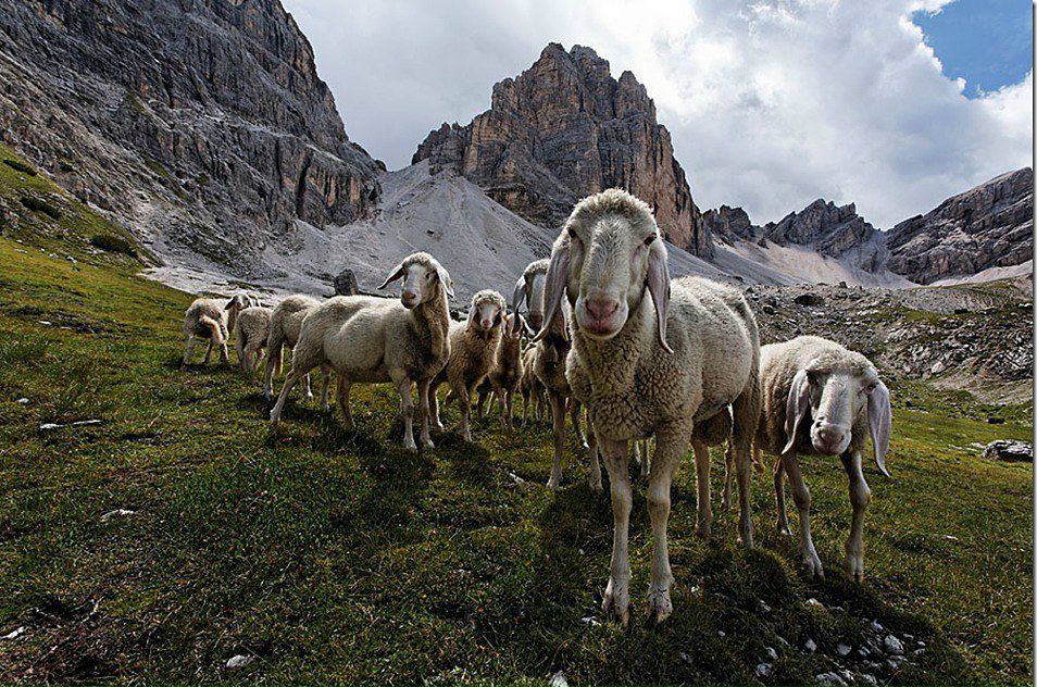 Sergiusz Waśko | Rybnik