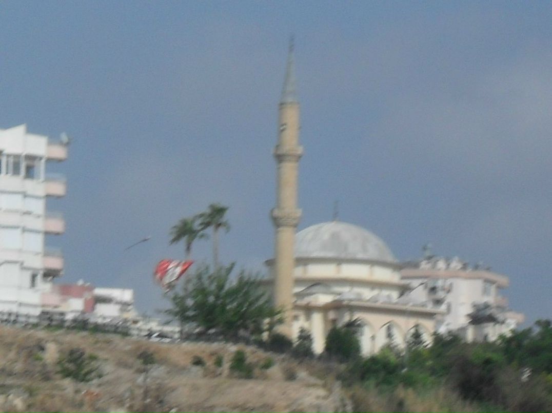 Нина Караева | Красноярск