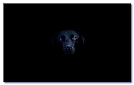 Роман Снегирёв | Самара