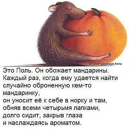 Мария Штейн | Kingston upon Hull