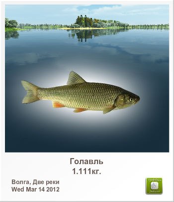 Сергій Шумелда | Тернополь