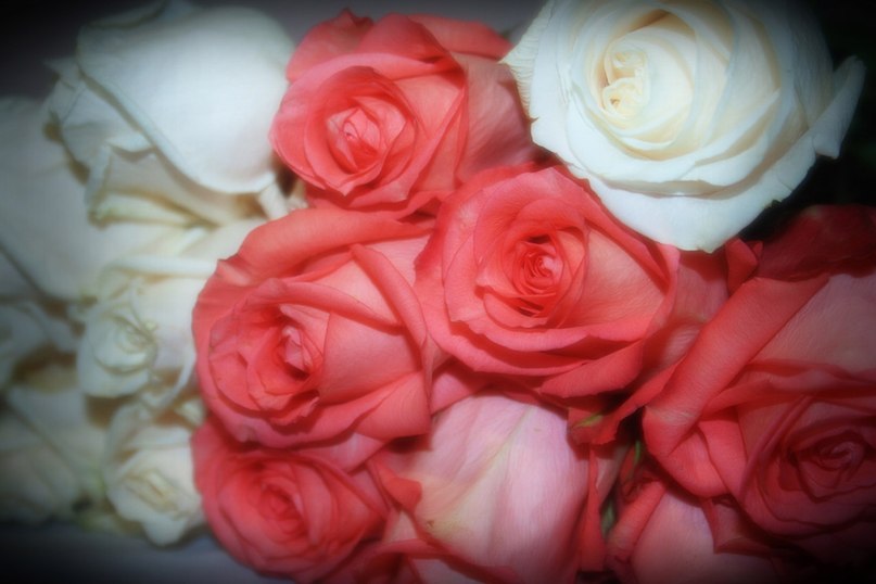 Елена Силаева | Юхнов